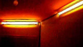 RGB Superflux LEDS Chromoflex