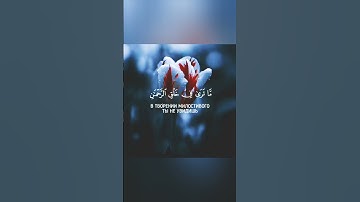 ادريس ابكر تلاوة تخشع لها القلوب بترتيل رائع حالات واتس اب دينية قصيرة مؤثرة قرآن كريم انستا