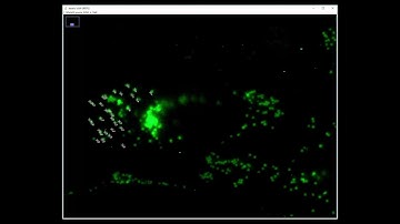 Part 5. Data Analysis Counting Lipid Droplets Per Cell