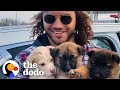 An Online Post For "Unwanted Puppies" Led Rescuer To An Entire Family Of Abandoned Dogs | The Dodo