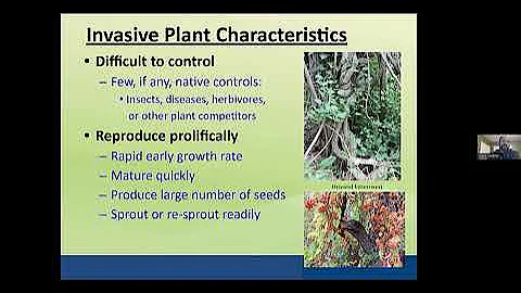 Identifying and Controlling Invasive Plants _March 2023