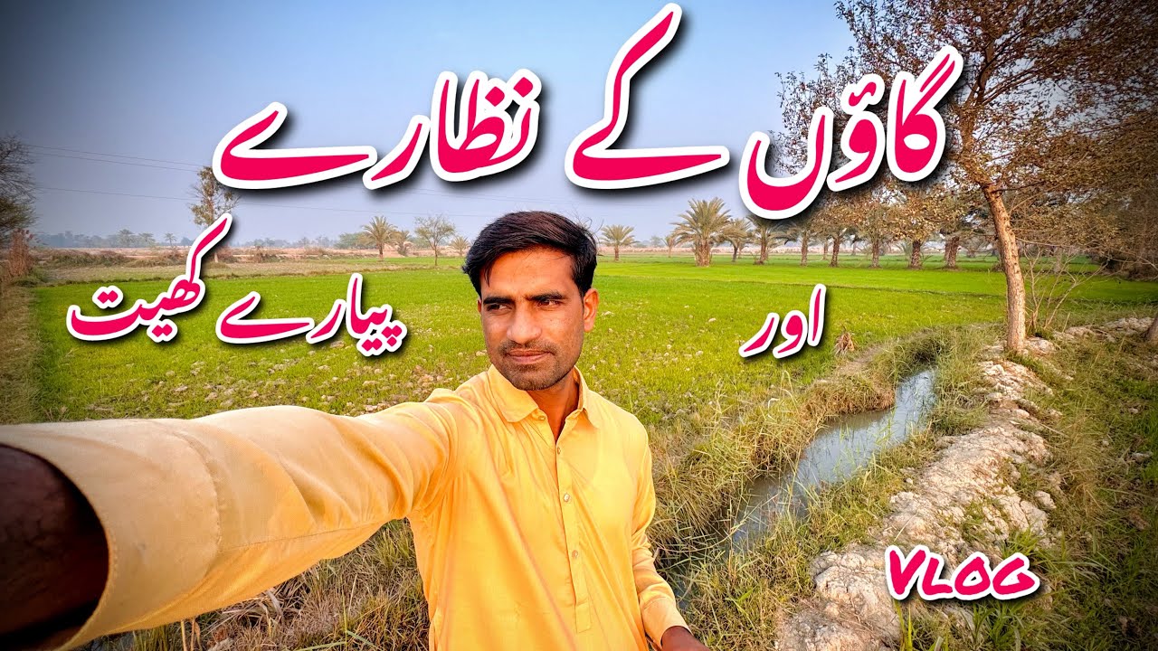 Village Vlog 1 | Khet ke Nazary 