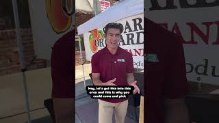 Marysville Peach Festival brings community together