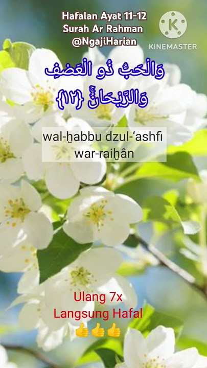 Hafalan Ayat 11-12 Surah Ar-Rahman, Ngaji Harian satu Hari hafal 1 ayat