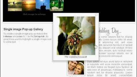 Flash Photo Gallery Tour: mySiteWizard.org