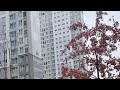 길거리  라방연습