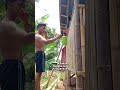 hal yang mungkin kamu belum tau tentang beternak #fypyoutube #ayam #trending #ternak #vlog