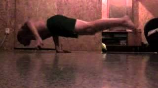 Krokodilas Viena Ranka Street Workout