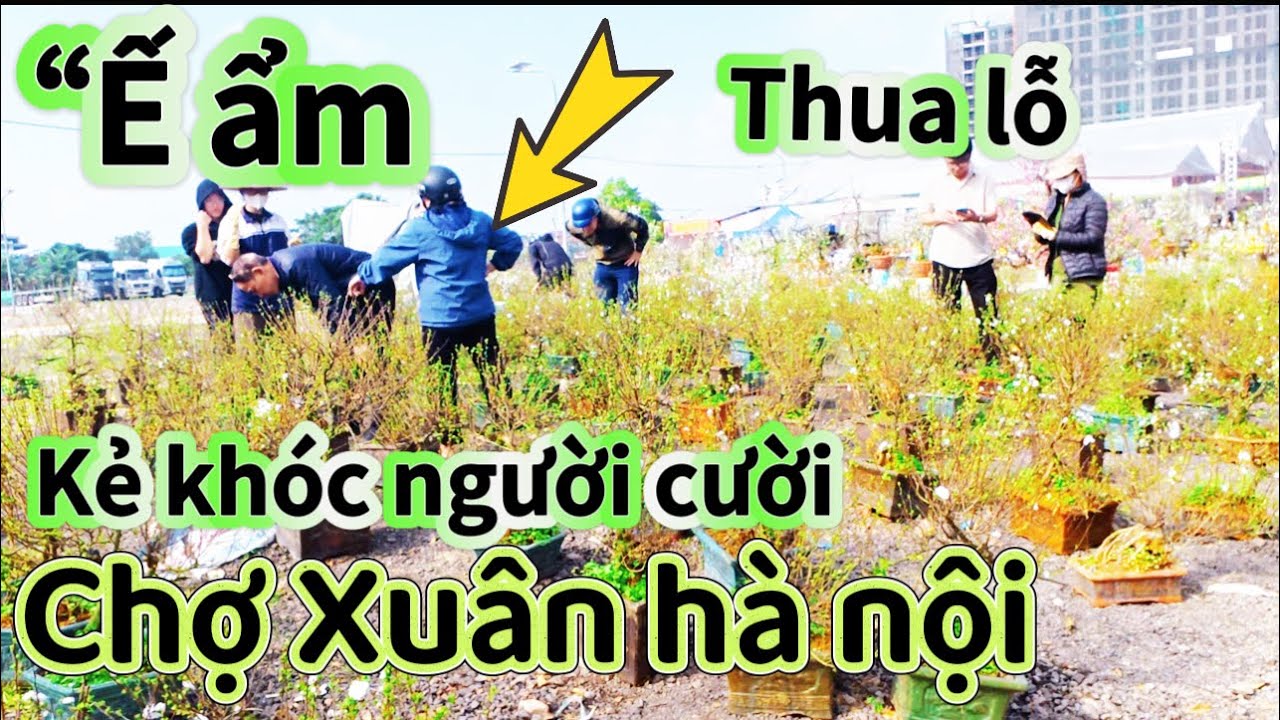 “”Thất bại  thua lỗ “ Cây đắt tiền không ai mua -Long Biên Hà Nội 