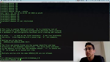 Como exportar as variáveis do Oracle no Linux utilizando oraenv | Guilherme Brito