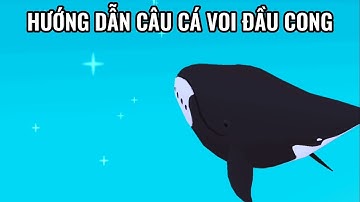 HƯỚNG DẪN CÂU CÁ VOI ĐẦU CONG TRONG PLAY TOGETHER