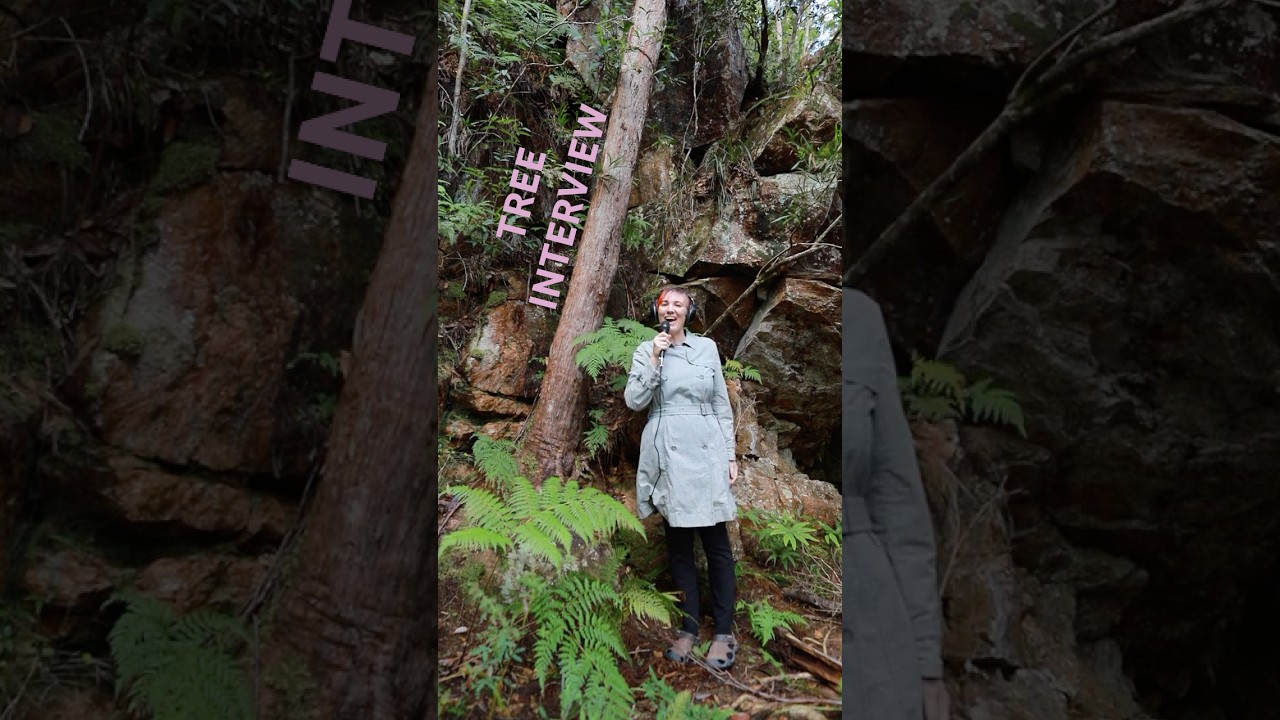 Translating Trees: Tree Interview