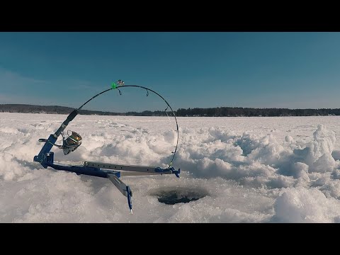 Ice Fishing for LAKE TROUT - How to ice fish for lake trout using a  JawJacker 