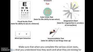Lab 9 Topics: The Senses