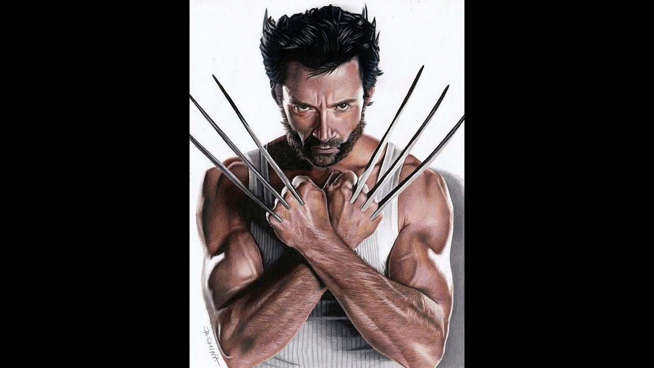 The Wolverine/Logan Drawings 