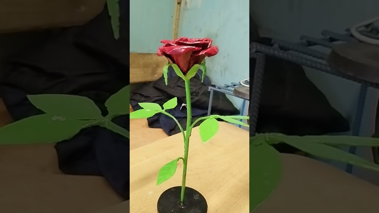 20 июня 2023 г.