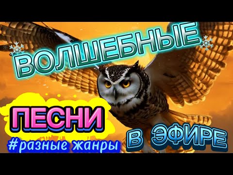 🦉ВОЛШЕБНЫЙ СТРИМ ЛУЧШИХ ПЕСЕН ДЛЯ САМЫХ ЛУЧШИХ СЛУШАТЕЛЕЙ !