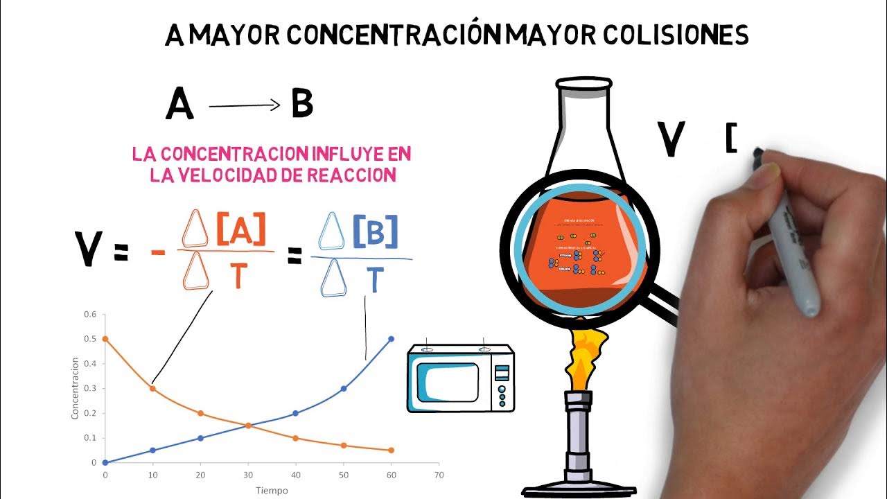 Cinética Química: Velocidad de Reacción,