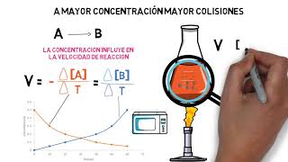 Cinética Química: Velocidad de Reacción,