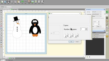 VinylCut 5 Software An Overview About the Printing Settings, Step by Step Video Guide