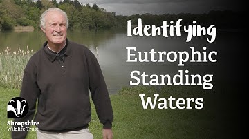 Eutrophic Standing Waters | Habitat Mapping Project | Nature Recovery Network