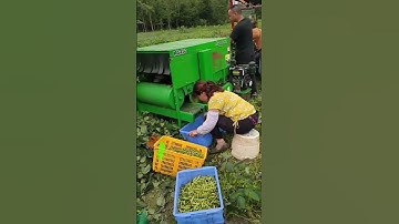 Nông cụ nông nghiệp Tháp Xanh, Công nghệ nông nghiệp, Thế giới Vật tư Máy móc