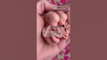 #قران #تلاوة_خاشعة #راحة_نفسية #عبدالباسط_عبدالصمد