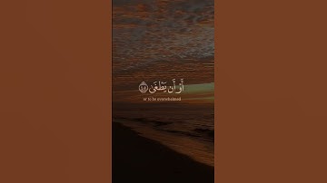 عندما يجتمع جمال الآيات مع جمال الآداء❤️