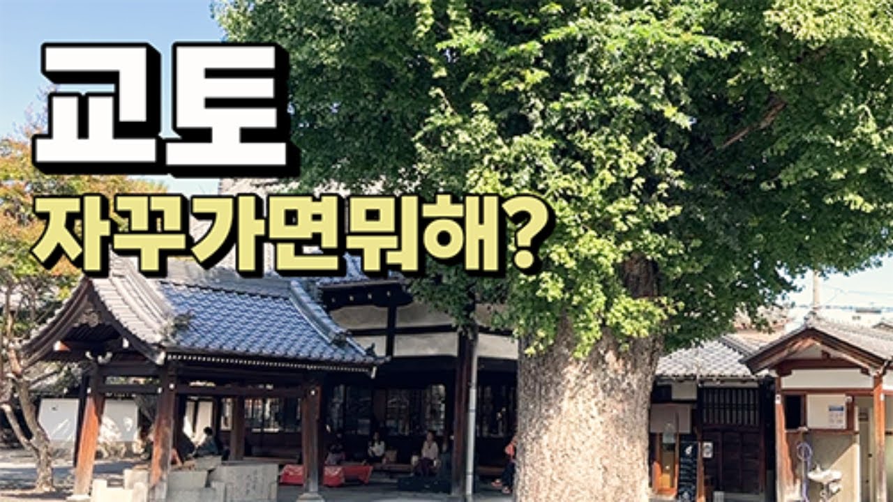 교토 자꾸가는 사람의 교토 여행 시내 가이드