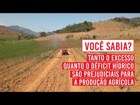 Vídeo: Excesso E Déficit