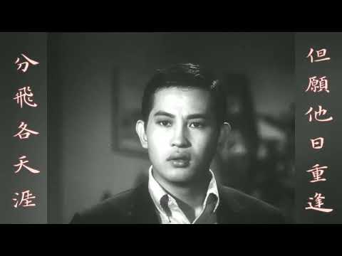 相思風雨中 M V  【主唱: 張学有，湯宝如】【主演: 丁瑩，張儀】