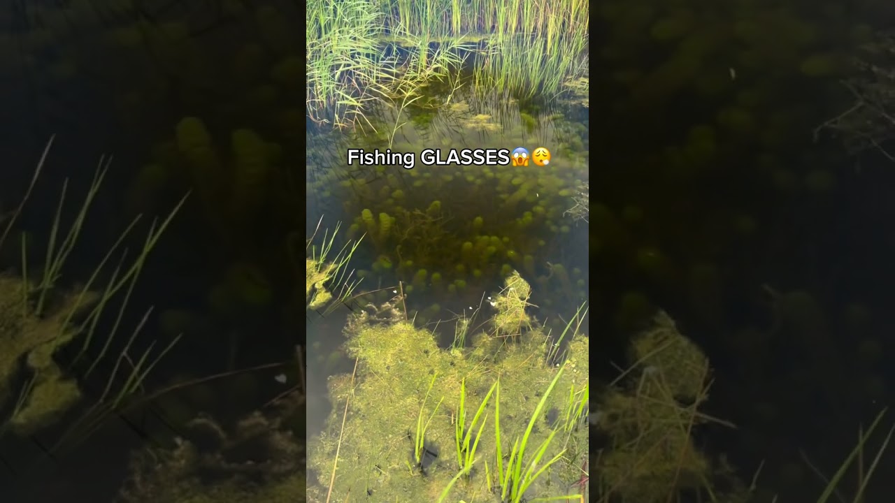 These Fishing GLASSES are insane😮‍💨🎣 