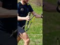 Déploiement Des Bâtons De Trail Guidetti Performance