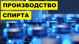 Производство Спирта как бизнес идея