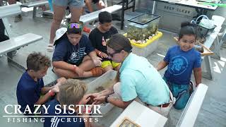 Saltwater Marsh Eco Tour in Murrells Inlet | Family-Friendly Marine Life & Shelling Cruise