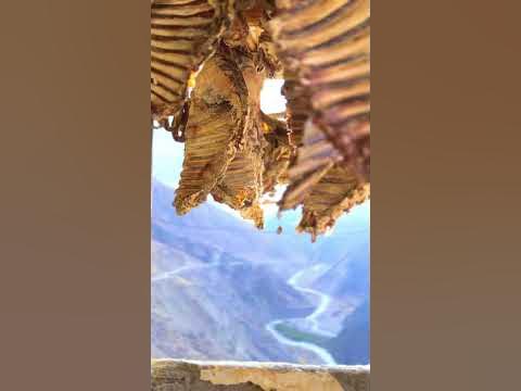 Сушеное мясо в горах #дагестан #природа #россия #цахур #цахурскаядолина ...