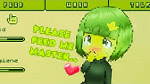 021zzvpwdp3 Im 021zzvpwdp3 Im