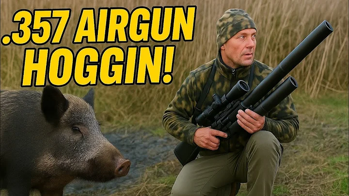 HOG hunt with .357 Big Bore Rattler Airgun
