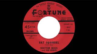 Doctor Ross &quot;Cat Squirrel&quot; (1961)