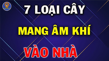 7 Loại cây dù thích đến mấy cũng tuyệt đối KHÔNG ĐƯỢC TRỒNG sẽ mang ÂM KHÍ VÀO NHÀ