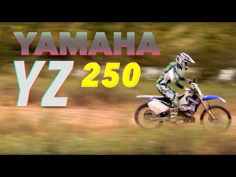 Steven Squire YZ 250
