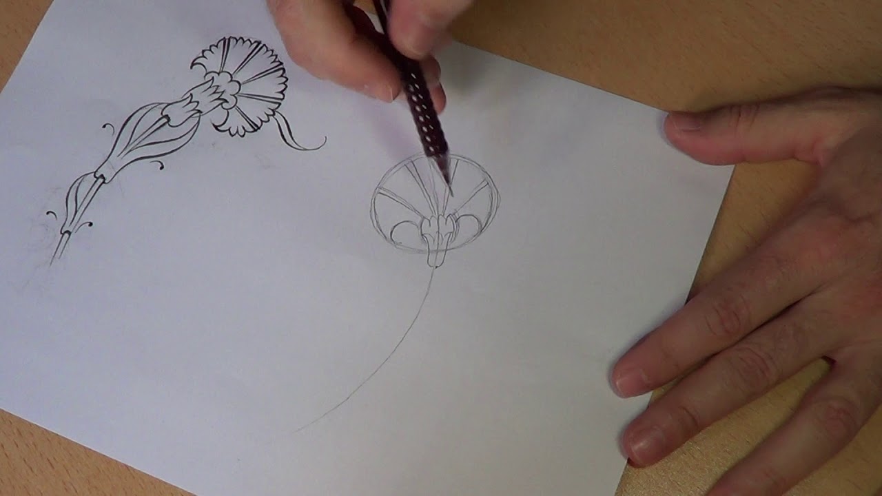 Çini Karanfil Motifi Çizimi/carna drawing