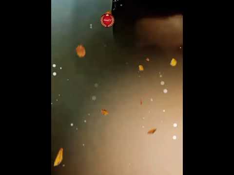 يانا يا حيرانه