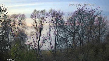 timelapse from ip camera