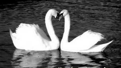 Neet oèt Lottum - Hald mich ens vas