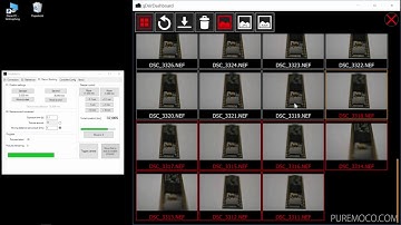 PureMacro: Workflow for focus stacking with qDSLRdashboard and Photoshop