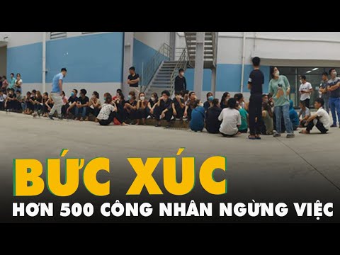 Video Hơn 500 công nhân Công ty điện tử BYD Việt Nam bức... - youtube