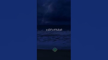 إلا من أتي الله بقلب سليم | قران كريم