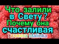 Колесниковы /Семья Колесниковых /Что залили в Свету? /Почему она так счастлива? /Обзор Влогов /