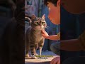 kisah inspiratif #kucing #cat #catshorts #catvideos #catlovers